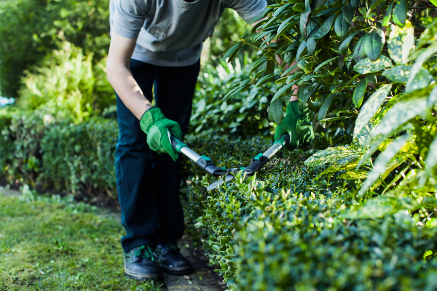 Gardening Services